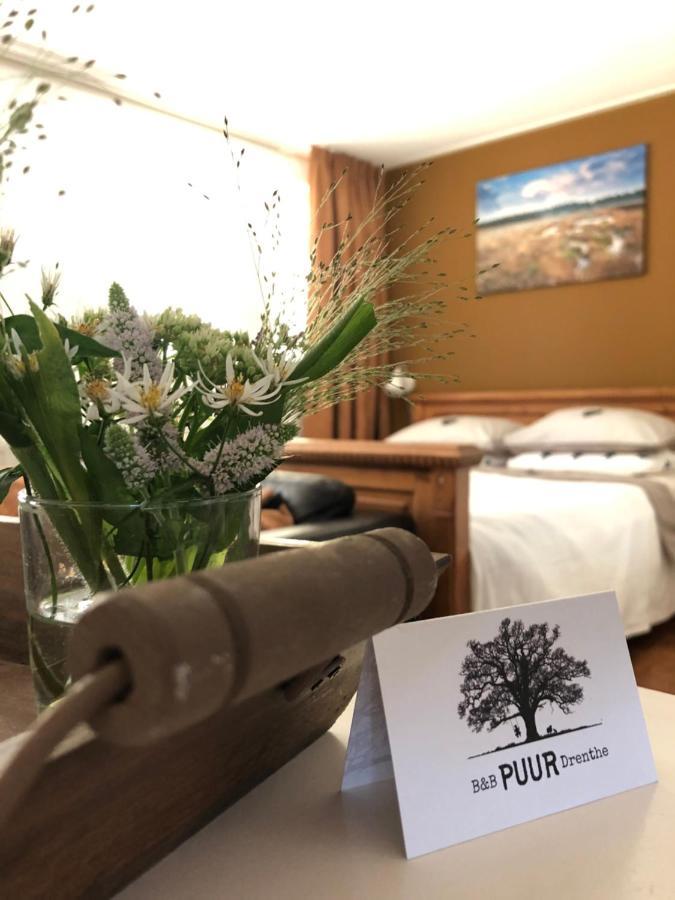 Elp B&B Puur Drenthe المظهر الخارجي الصورة